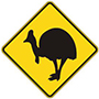 koala; traffic control; signage; warning; wildlife; wild; life; animal; sign; signs; animals; fauna; crossing; conservation area; injured; injury; hurt; slow; crash; 1300; 1300animal; 1300 animal; protection; protected; trial; kangaroo; kangaroos; symbol; symbolic; symbols; beware; cassowary; vehicle activated; care; caution; koalas; northern bettong;1621;1622;1918;tc1621;tc1622;tc1918;