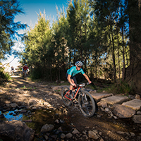 Bicycle riders on trail