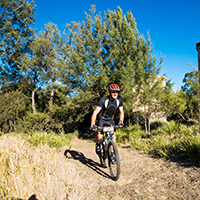 Bicycle riders on trail