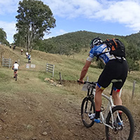 Bicycle riders on trail