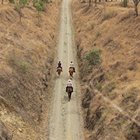 3 persons riding horses
