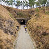 Bicycle riders approaching tunnel