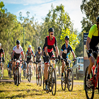 Group of bicycle riders