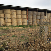 Hay bales in storage