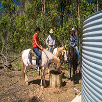 3 persons riding horses
