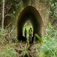 bicycle riders in trail tunnel