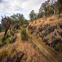 Aerial view of trail