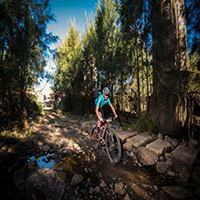 bicycle rider