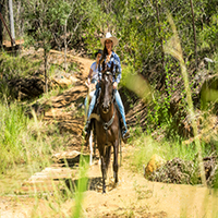 2 persons riding horses