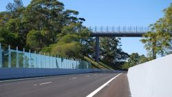 Glass panels used on a roadside noise barrier.