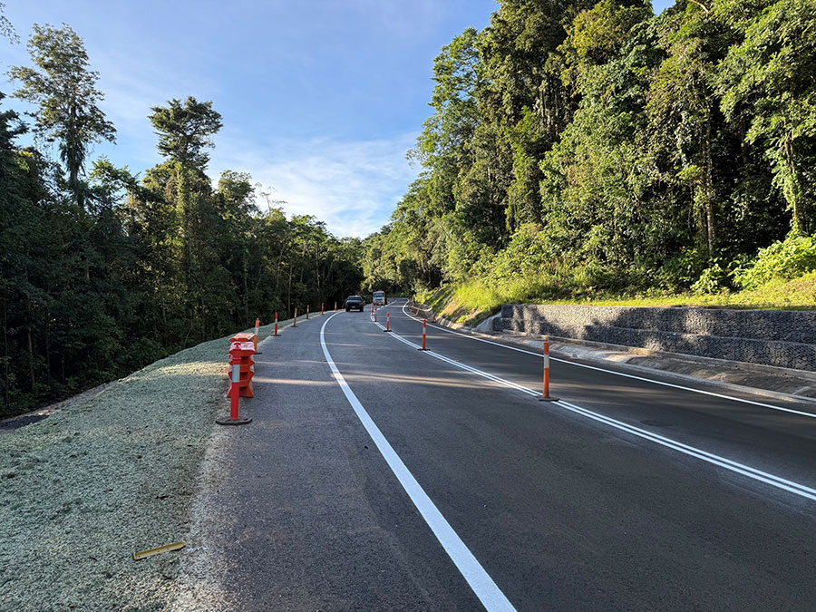 Curved two-lane road lined with orange traffic bollards, bordered by dense green forest and a rocky retaining wall under clear daylight.