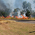 Bushfire