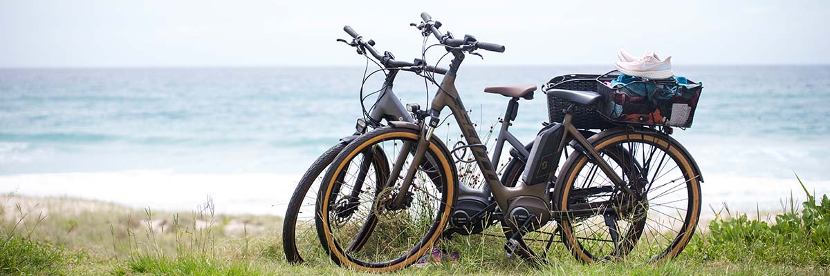 2 e-bikes parked on grass beside a beach.