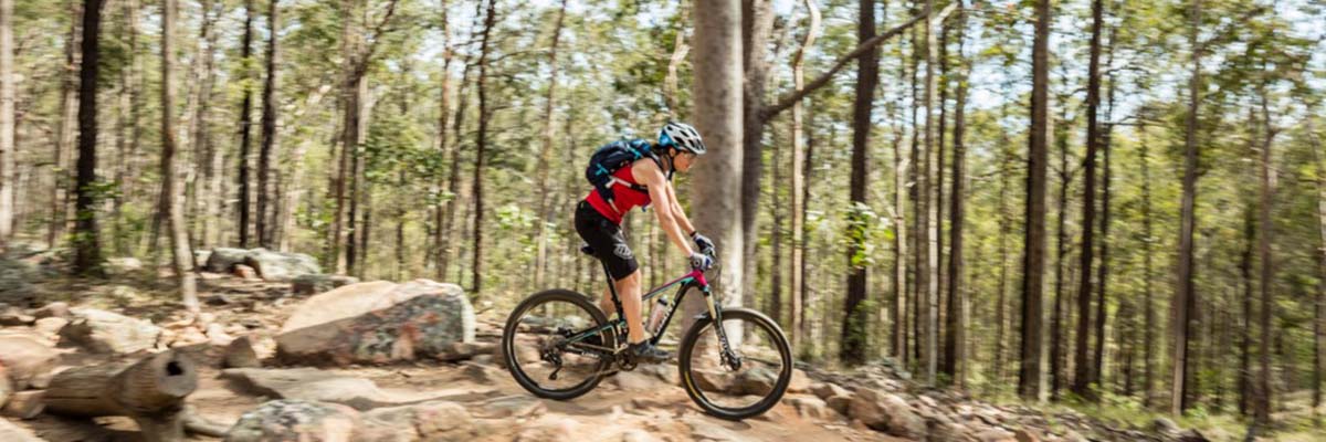 A bike rider rides down a slight decline on a rocky path, against a backdrop of trees.