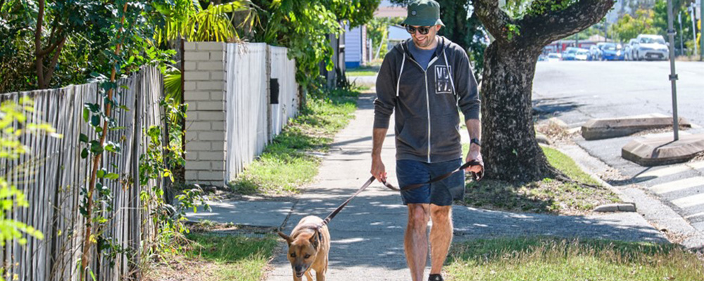 A person walking a dog on a leash on a path in Queensland.